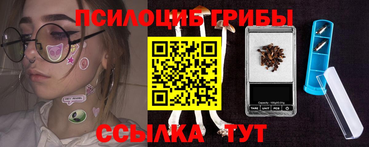 Псилоцибиновые грибы Psilocybe Краснокаменск